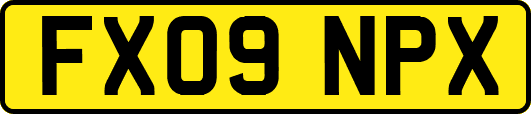 FX09NPX