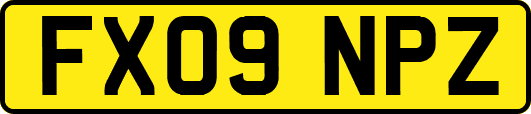 FX09NPZ
