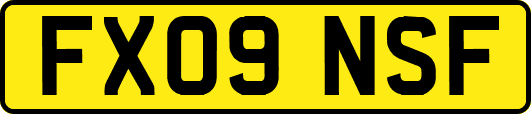 FX09NSF