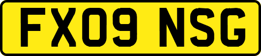 FX09NSG