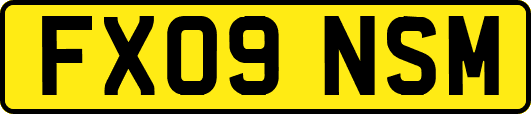 FX09NSM