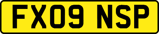 FX09NSP