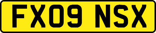 FX09NSX