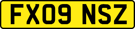 FX09NSZ