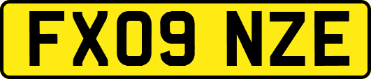 FX09NZE