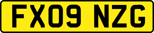 FX09NZG