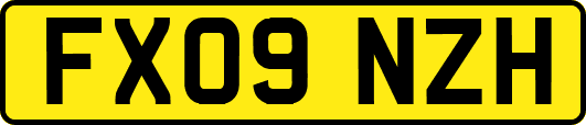 FX09NZH