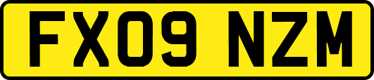 FX09NZM