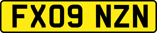 FX09NZN