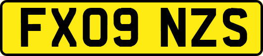 FX09NZS