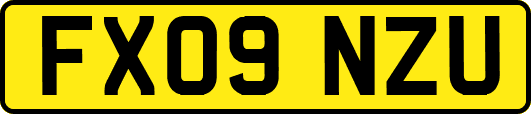 FX09NZU