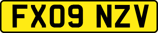 FX09NZV