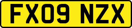 FX09NZX