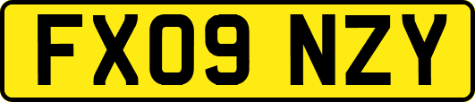 FX09NZY