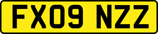 FX09NZZ