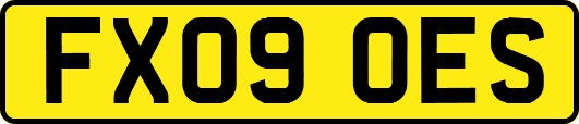 FX09OES