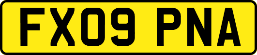 FX09PNA