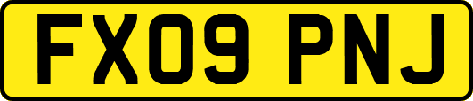 FX09PNJ