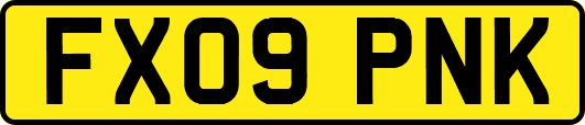 FX09PNK