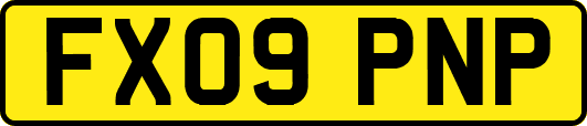 FX09PNP