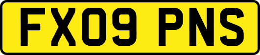 FX09PNS
