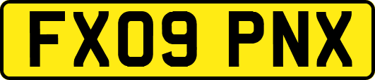 FX09PNX