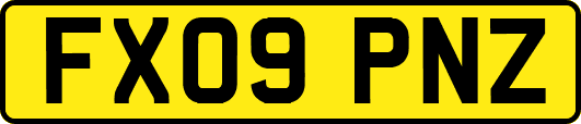 FX09PNZ