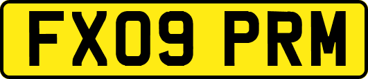 FX09PRM