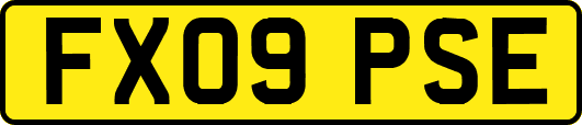 FX09PSE