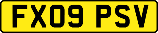 FX09PSV