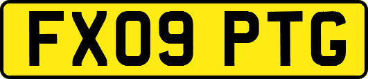 FX09PTG