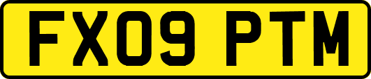 FX09PTM