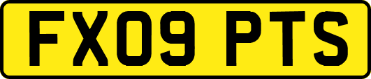 FX09PTS