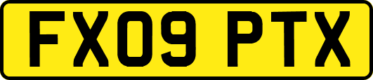FX09PTX