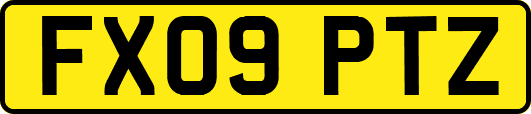 FX09PTZ
