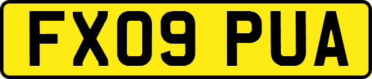 FX09PUA