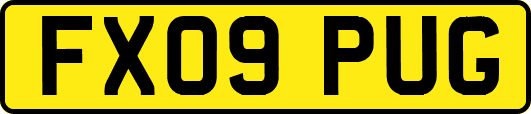FX09PUG
