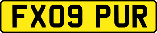 FX09PUR