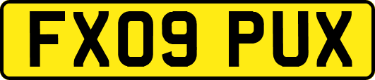 FX09PUX