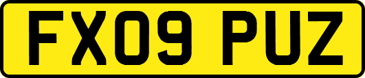 FX09PUZ