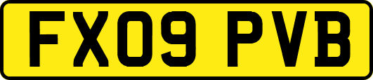 FX09PVB