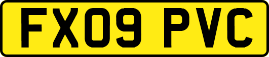 FX09PVC