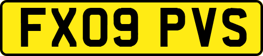 FX09PVS