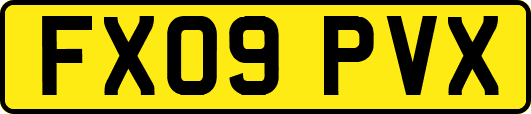 FX09PVX