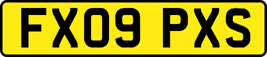 FX09PXS