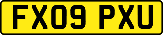 FX09PXU