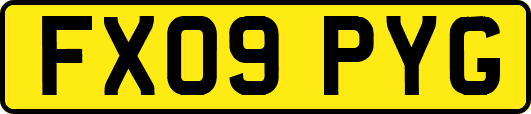 FX09PYG