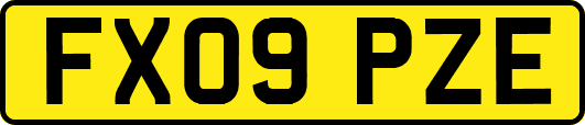FX09PZE