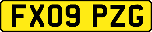 FX09PZG
