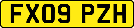 FX09PZH